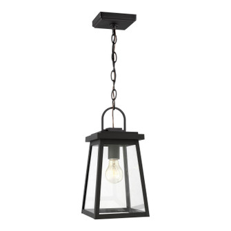 Founders One Light Outdoor Pendant in Black (454|6248401EN312)