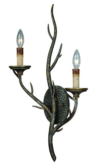 Monterey Two Light Wall Sconce in Autumn Patina (63|W0075)