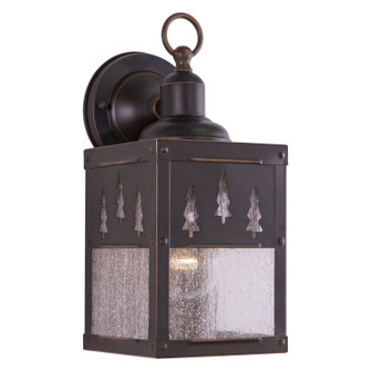 Yosemite One Light Outdoor Wall Mount in Burnished Bronze (63|OW24953BBZ)