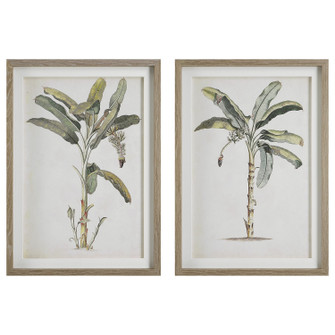 Banana Palm Framed Prints, Set/2 in Light Wood (52|41446)