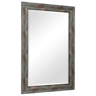 Owenby Mirror in Antique Silver (52|09724)