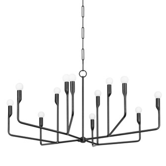 Norman 12 Light Chandelier in Forged Iron (67|F9242FOR)