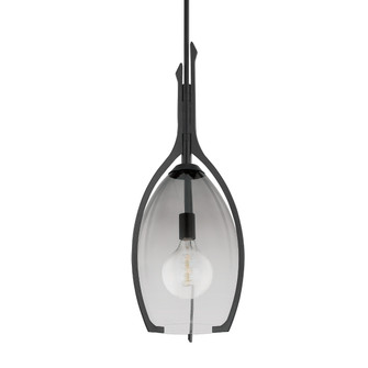 Pacifica One Light Pendant in Forged Iron (67|F8313FOR)
