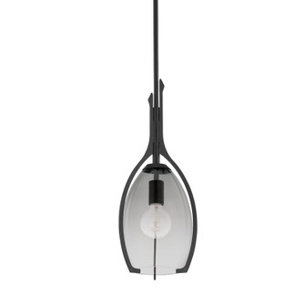 Pacifica One Light Pendant in Forged Iron (67|F8309FOR)