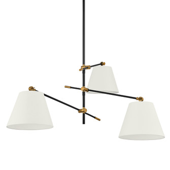 Navin Three Light Chandelier in Patina Brass (67|F2653PBRTBK)