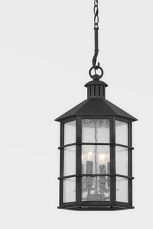 Lake County Four Light Outdoor Lantern in French Iron (67|F2526FRN)
