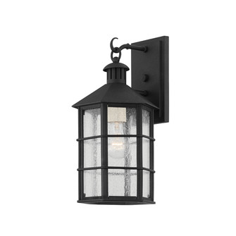 Lake County One Light Wall Sconce in French Iron (67|B2511FRN)