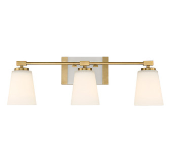 Darby Three Light Bathroom Vanity in Warm Brass (51|869013322)