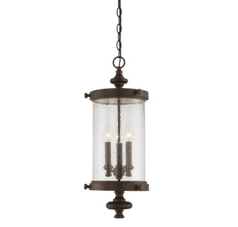 Palmer Three Light Hanging Lantern in Walnut Patina (51|5122240)