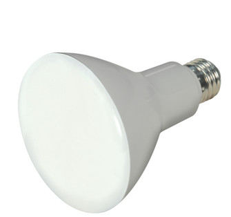 Light Bulb in Frost (230|S9698)