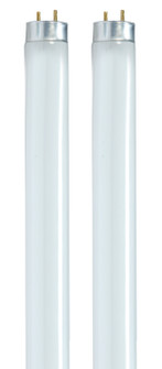 Light Bulb in White (230|S8479)