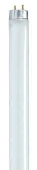 Light Bulb in Gloss White (230|S8441)