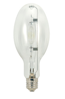 Light Bulb in Clear (230|S5822)