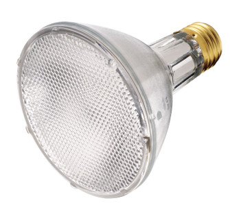 Light Bulb in Clear (230|S4877)