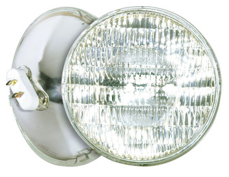 Light Bulb in Clear (230|S4670)