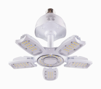 Light Bulb in Clear (230|S39768)