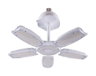 Light Bulb in Clear (230|S39679)
