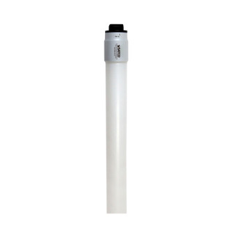 Light Bulb in White (230|S29925)