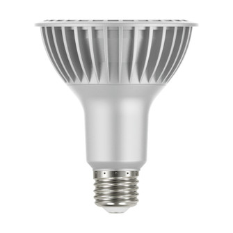 Light Bulb in Silver (230|S29765)