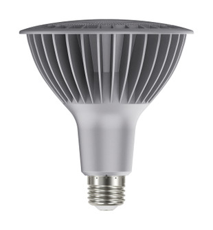 Light Bulb in Silver (230|S29760)