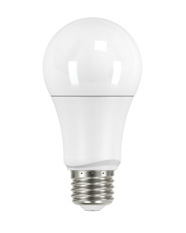 Light Bulb in Frost (230|S29629)
