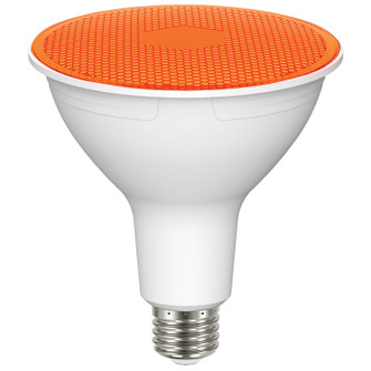 Light Bulb in Amber (230|S29483)