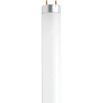 Light Bulb in White (230|S27931)