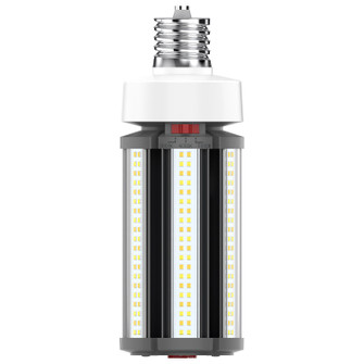Light Bulb in White (230|S23142)