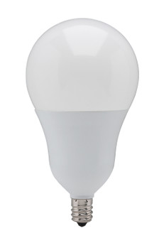 Light Bulb in Frost (230|S21804)