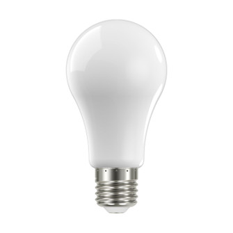 Light Bulb in Soft White (230|S12441)