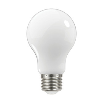 Light Bulb in Soft White (230|S12427)
