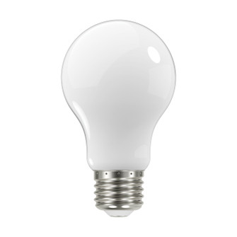 Light Bulb in Soft White (230|S12413)