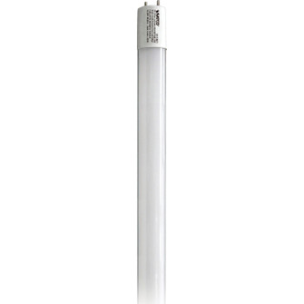 Light Bulb in Gloss White (230|S11961)
