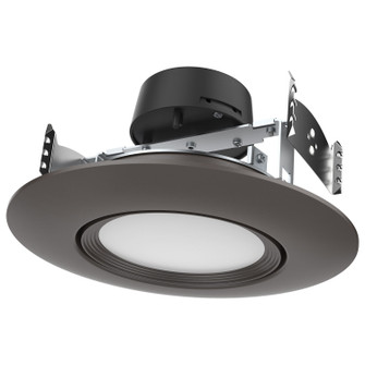 LED Downlight in Bronze (230|S11859)