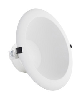 LED Downlight in White (230|S11810)