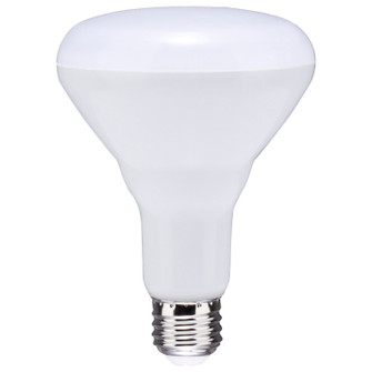 Light Bulb in Frost (230|S11472)