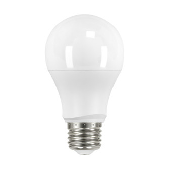 Light Bulb in White (230|S11427)