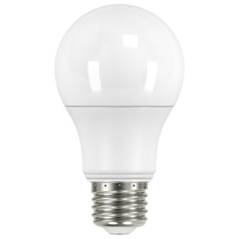 Light Bulb in Frost (230|S11416)