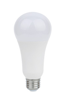 Light Bulb in Frost (230|S11332)