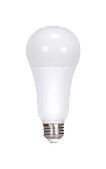 Light Bulb in Frost (230|S11331)