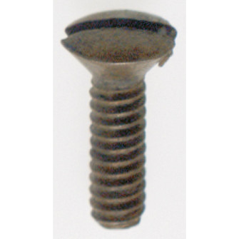Switchplate Screw in Antique Brass (230|90535)