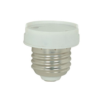 Socket in Not Specified (230|902434)