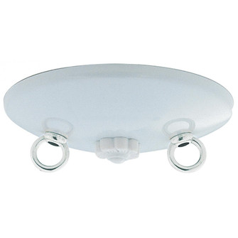 Swag Canopy Kit in White (230|90199)