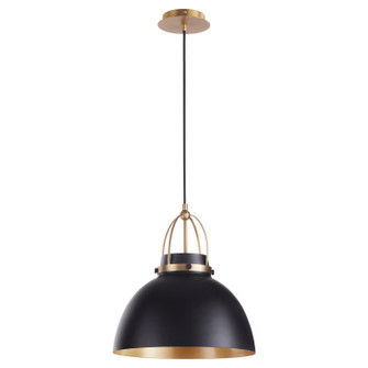 Pruitt One Light Pendant in Matte Black|Aged Brass (19|8235980)