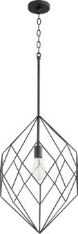 One Light Pendant in Textured Black (19|800569)