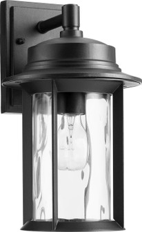 Charter One Light Outdoor Lantern in Textured Black (19|7246769)