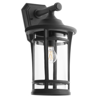 Haley One Light Outdoor Lantern in Textured Black (19|7181869)