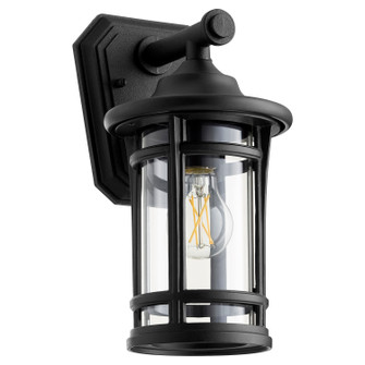 Haley One Light Outdoor Lantern in Textured Black (19|7181269)