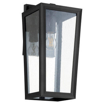 Bravo One Light Wall Mount in Textured Black (19|715869)