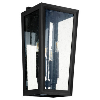 Bravo Four Light Wall Mount in Textured Black (19|7151069)